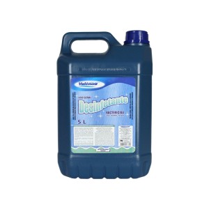 Desinf. giovanna baby valencia 5l